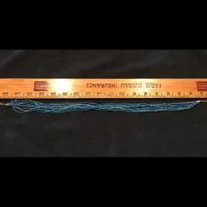 20 Inch Seeded Bead Necklace